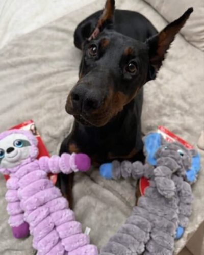 0674c350-d3e6-42a0-bb62-ecf5b630ce08