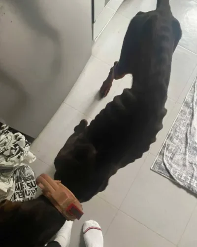 33a7e2d2-7735-4f7e-a9f7-e1280676f2bc