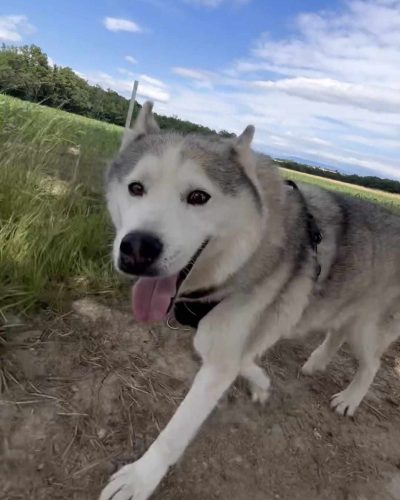 452463686_474141248685085_506713739629697647_n