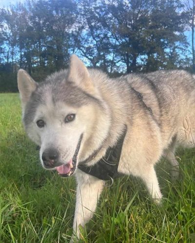 462535492_1235729544244766_7576085674975072018_n