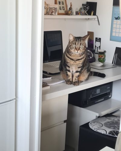 antoine sur le bureau