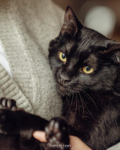 khéyus dans les bras