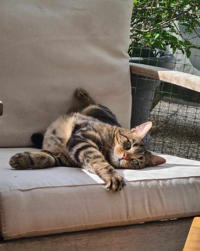 476390518_1151696506260062_6310745052061809998_n