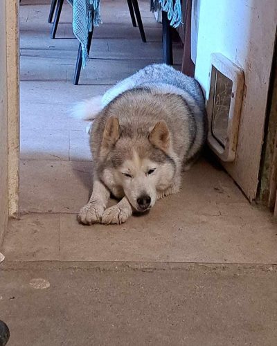 481334079_609815135276567_1997537167697580112_n