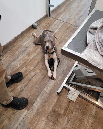 nova le jour de son sauvetage