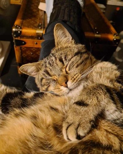 484868765_1839644313458526_2511437290715891585_n