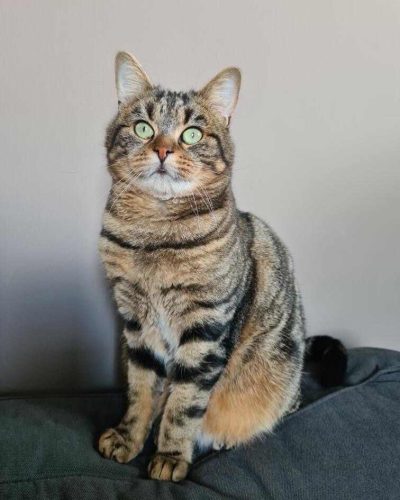 485087712_1350005129588707_9037037492326477643_n