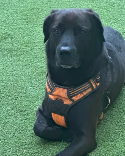 69d52e94ce808053897180