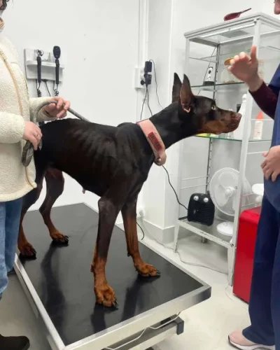 B167C6A2-DB2A-414E-94A4-FD67AAB8B9A3