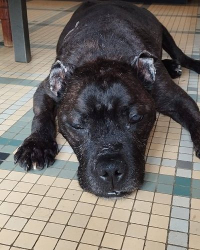 freya pendant la sieste