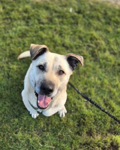 uria assise qui nous regarde (vue de haut)