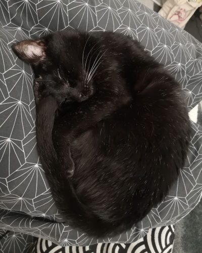 tsuki couchée dans le lit