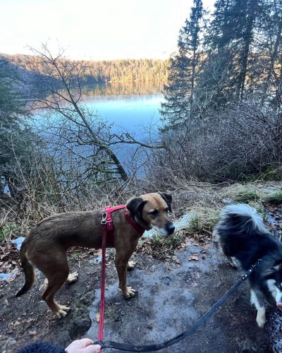 naya et son copain en promenade