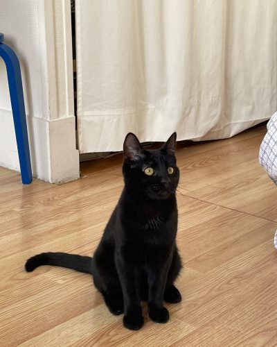 Khéyus assis sur le parquet