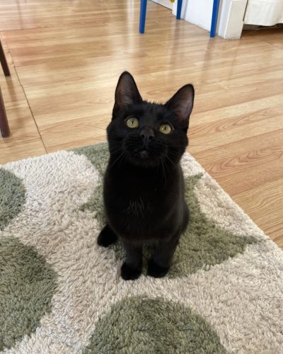 Khéyus assis sur un tapis regardant vers le ciel