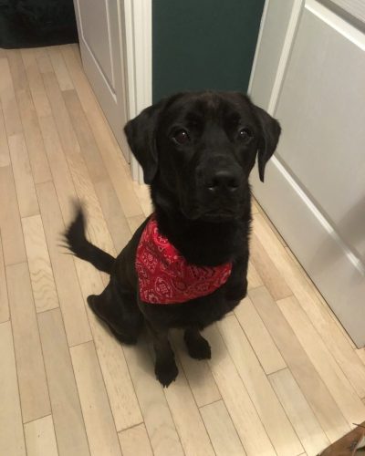 olaf assis avec un bandana