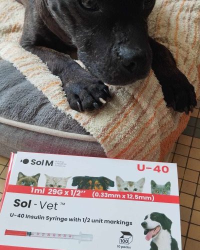 freya devant ses médicaments