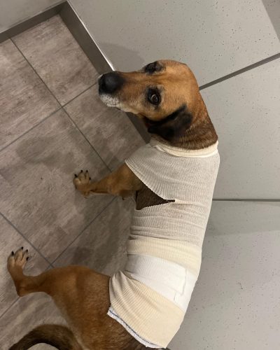 naya lors de sa convalescence