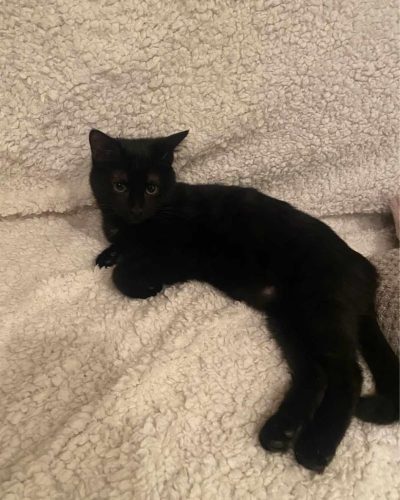 received_563596456557922