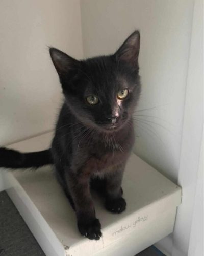 received_601422282570741