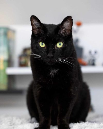 Tsuki en shooting photo assis