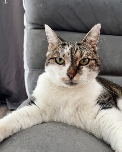 patapouf les pattes écartées