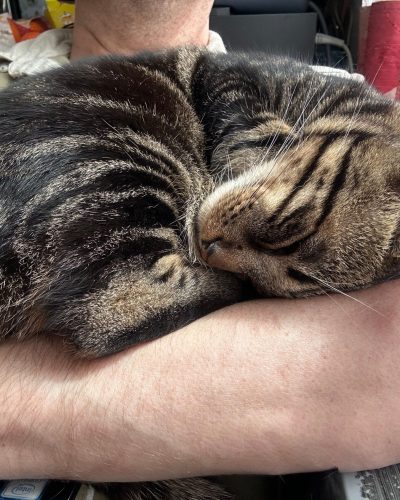 boga dans les bras d'un humain