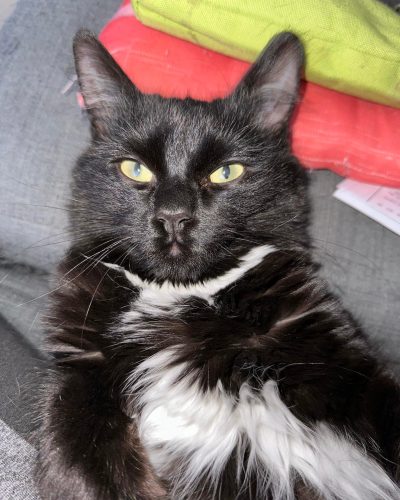 alpha qui se prend en selfie