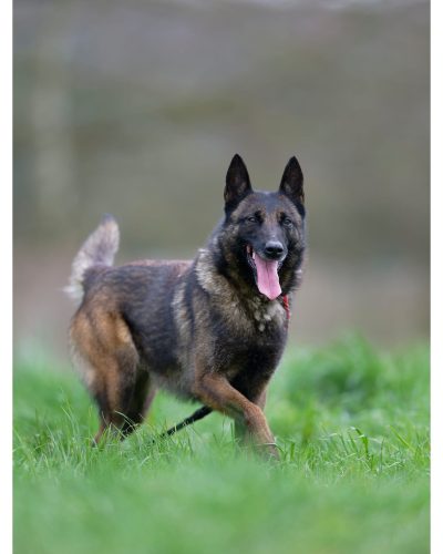 leika en shooting photo