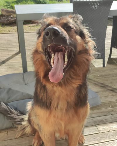 version=1&uuid=1AC8F983-6A63-4C5B-B4D3-746F582F8C39&mode=compatible&noloc=0